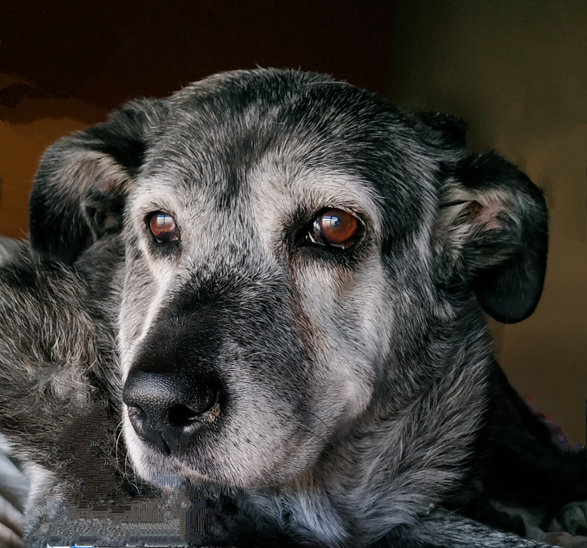 Bardino www.bardino.de die weltweit erste BardinoSeite